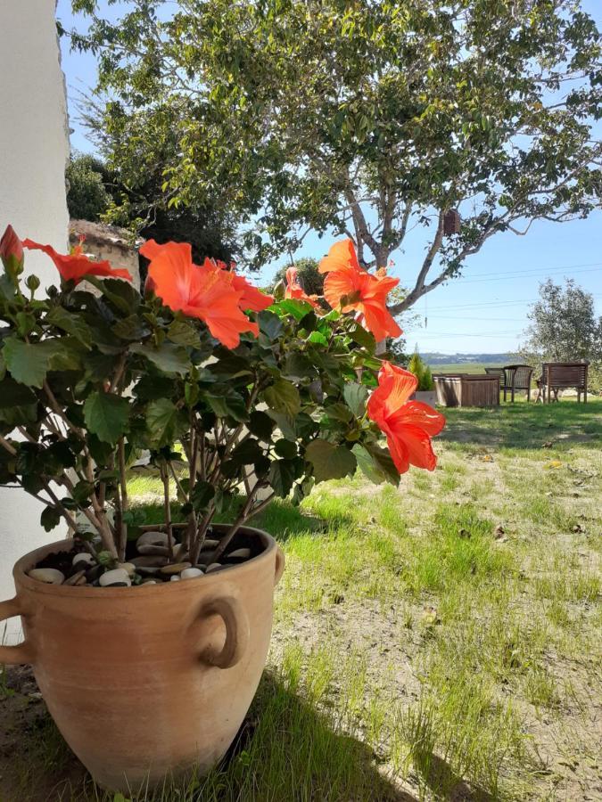 ***** Quinta Do Por Do Sol ***** Apartment ฟิเกราดาฟอซ ภายนอก รูปภาพ